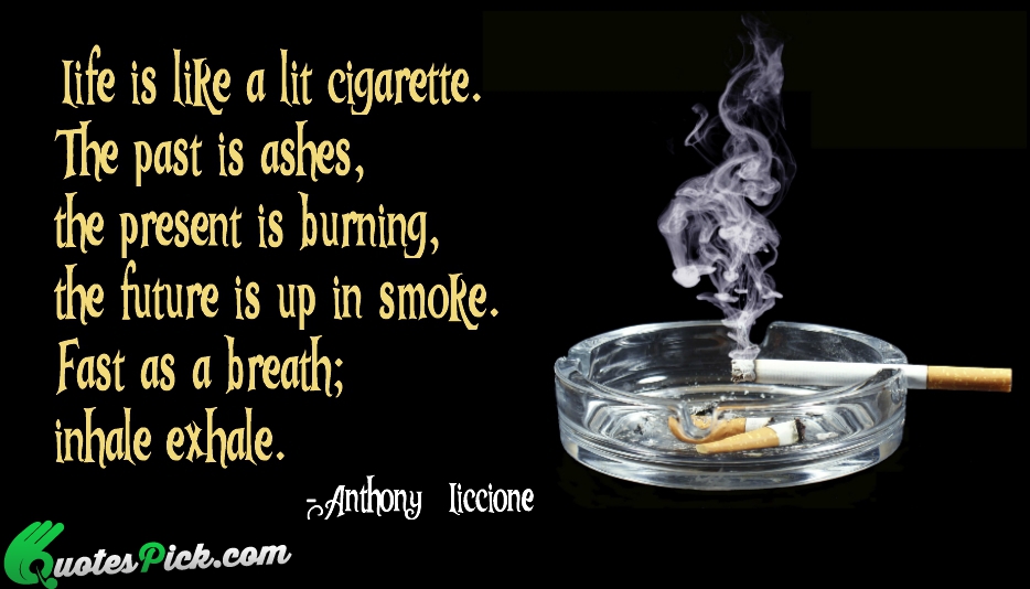 Life of a Smoke – The New Renaissance Mindset
