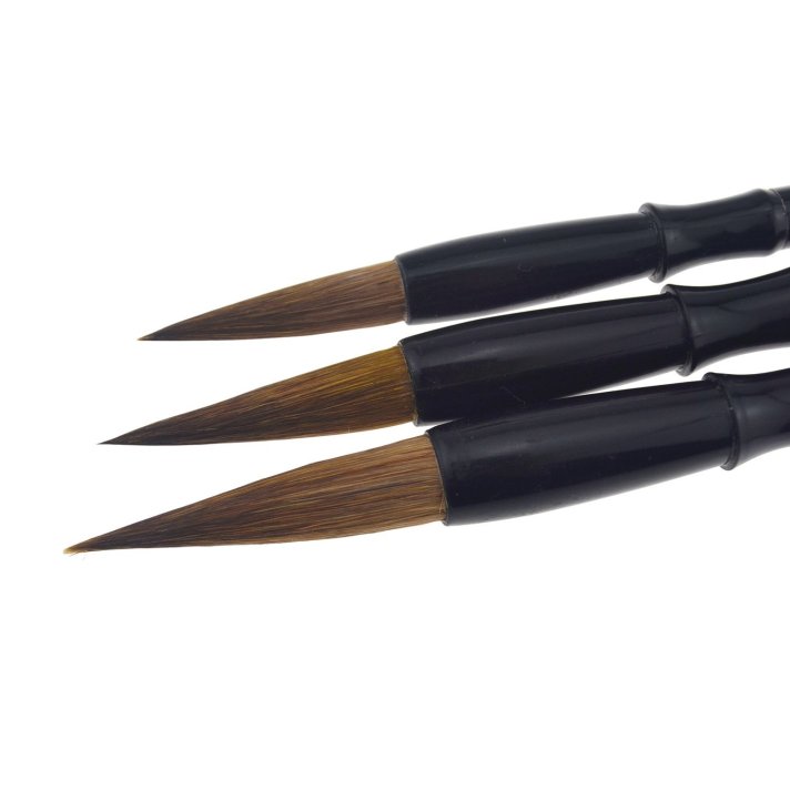 61bRbHjXR-L._SL1500_