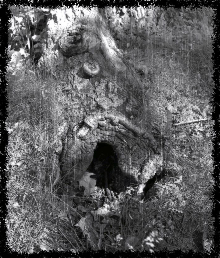Boggarts Den