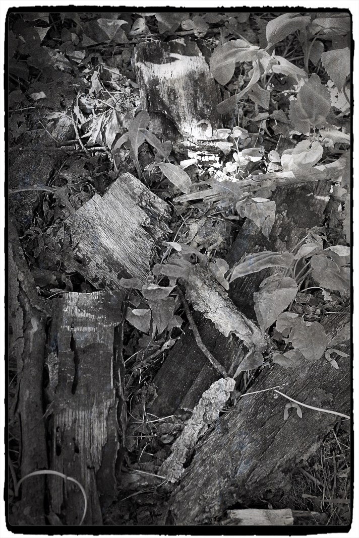 Natural Garbage