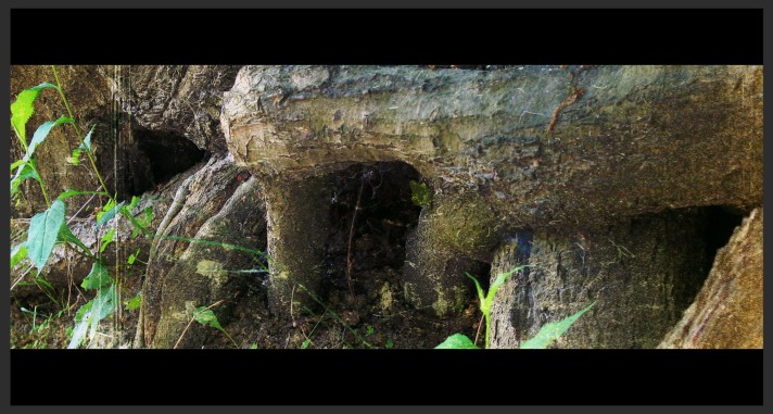 Look Closer, reach in