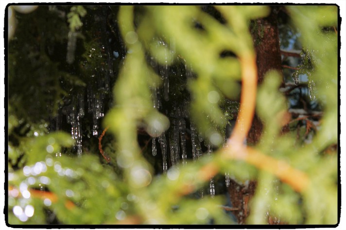 The Winter Hides Beyond The Green