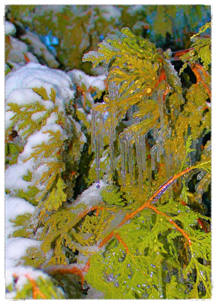 Tonight you can expect a little weather