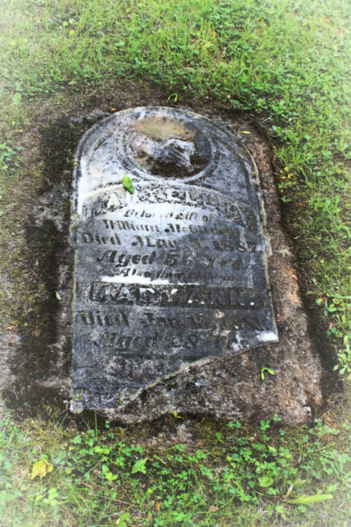 Where Have You Been, Mary Ann