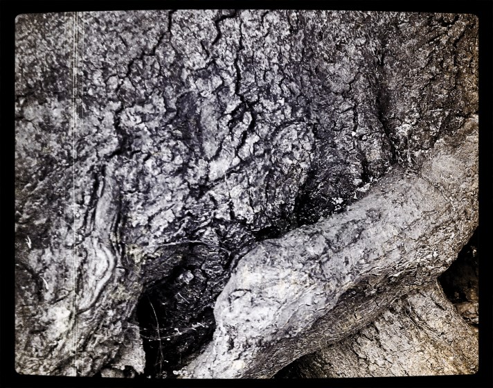 Wild West Abstraction