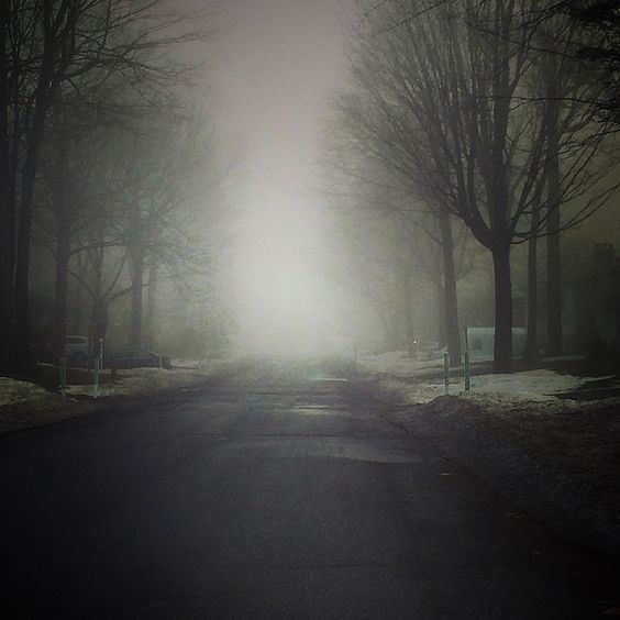 bd3a4688372d7228e89882e96dec8b1a