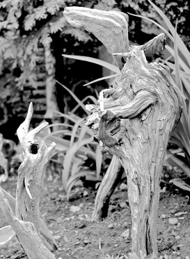 14 Strange Conversants