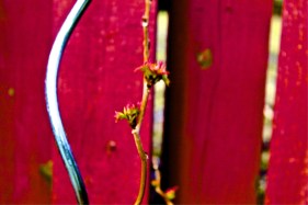 R- Spring Glimmer and Glimps