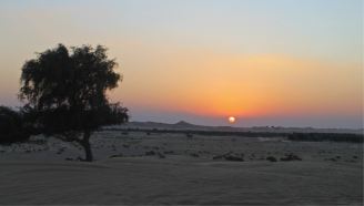 R-Al Ain Desert 2014 (1)