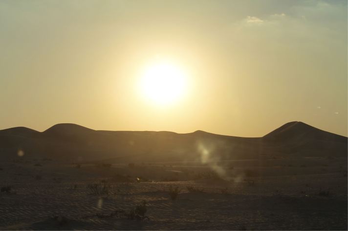 R-Al Ain Desert 2014 (37).jpg