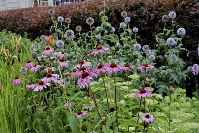 R - Quebec City Public Garden 13-019