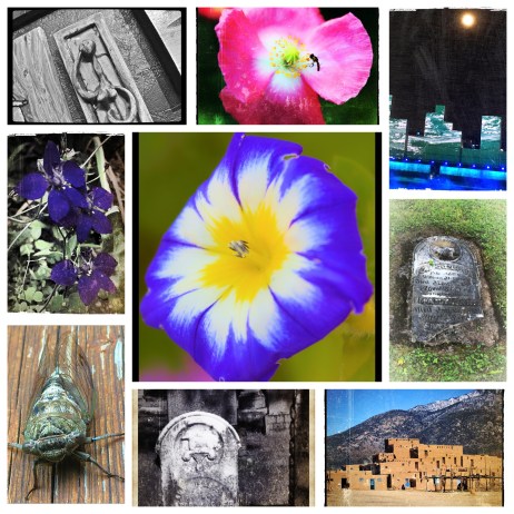 digital inspirations