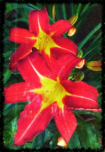 Rousseau's Inspiration