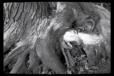 Somewhere on Gilligan's Island