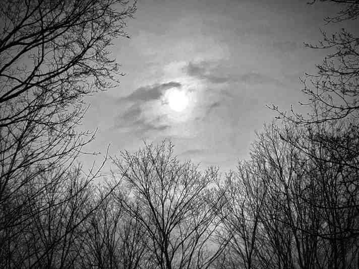 Revisionist Poetry – Shrouds over the Porchlight – (Darkness Approaching, v.3)