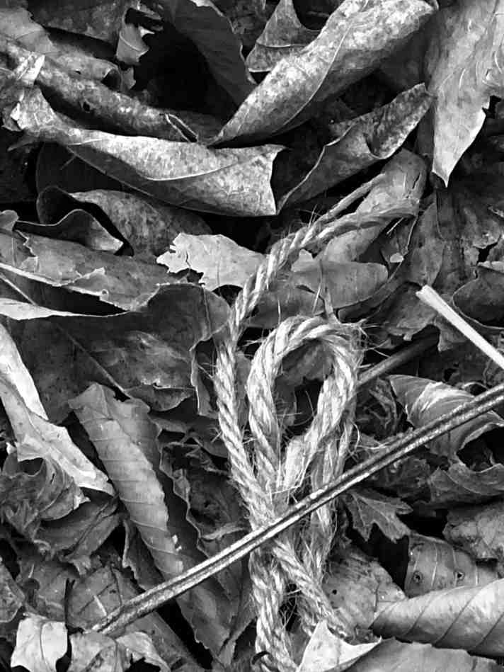 Revisionist Poetry – “Hymn of the Heap” – Beautiful Detritus, v.4 (Dylanesque)