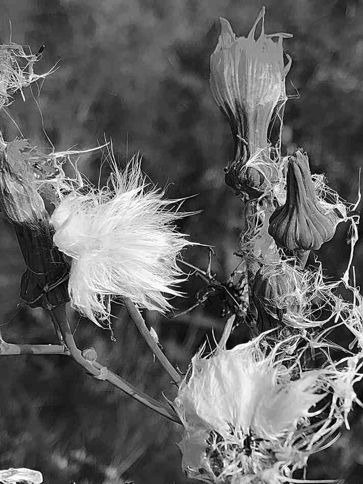 Revisionist Poetry – “Gutter Lessons” – Ephemeral, v.3