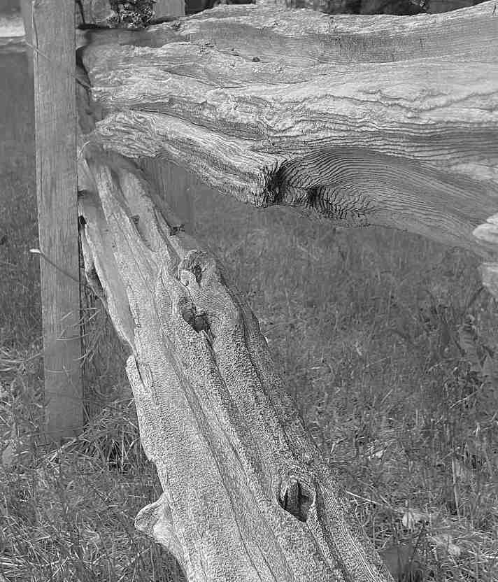 Revisionist Poetry – “Where the Fences Learn Our Names” – Fenced in by a lack of Colour, v.4